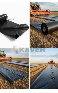 // مالچ/ / درختی باغداری