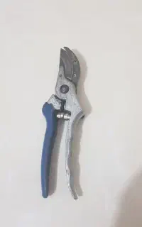 قیچی درخت چین باغبانی