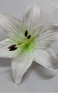 لیلوم فومی درجه یک تولیدی عمده