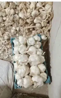 سیرخشک