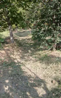 علف زنی و باغبانی