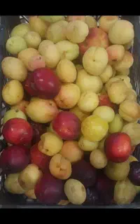 عطاری خانگی