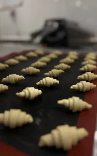 استخدام نیروی خدمات