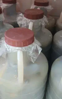 خیارشور تازه امسال