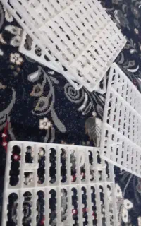 سبد جا تخم بلدرچین