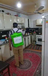موریانه زدایی سمپاشی ساس موش مار عقرب کل مناطق