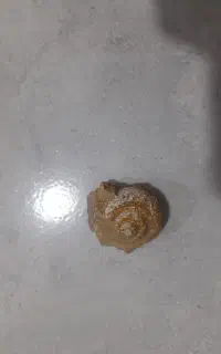 سنگ