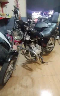 هارلی