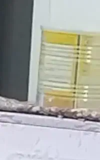 قوطی شیرخشک وبطری نوشابه ای