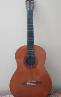 گیتار یاماها C40