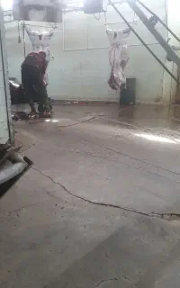 قصاب سیار