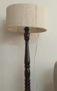 اباژور ایستاده