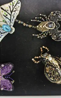 حشره های نگینی