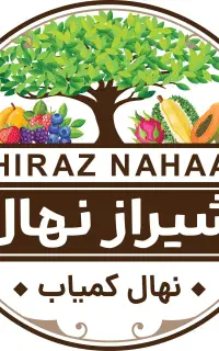 بیش از ۴۰۰مدل نهال میوه ای گلدانی سردسیر و گرمسیر