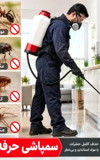 سم پاشی ریشه کنی موریانه سوسک کابینتی سمپاشی حشرات