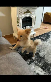 واگذاری ب کسی ک شرایطشو داره