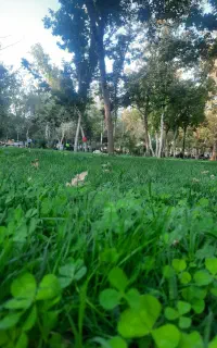 تخریب کار نیازمندیم