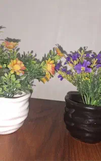 گل و گلدان