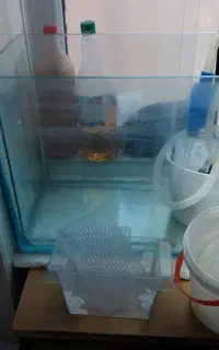 اکواریوم