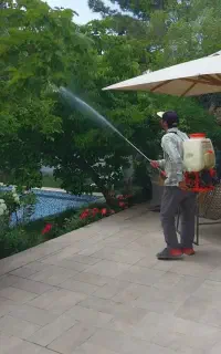 سمپاشی وباغبانی بادستگاههای مجهزی درتمام تهران