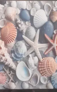 پادری چاپی ترمز دار