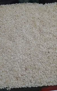 برنج عنبربو