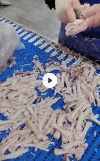 نیرو آقا و خانم برای درآوردن استخوان پای مرغ