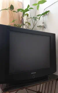 تلویزیون