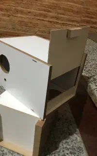 لانه تخم گزاری پرنده مرغ عشق