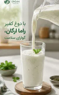 دوغ و ماست کفیر خانگی وترشیهای بدون سرکه