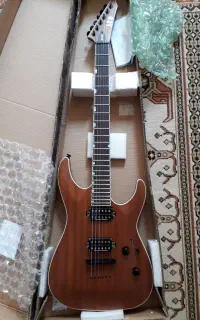 گیتار الکتریک ESP Ltd