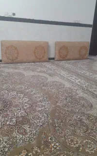 شش‌عدد‌پشتی