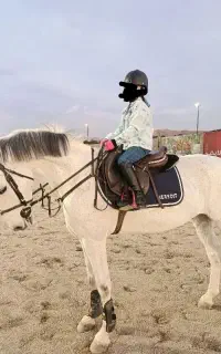 نریان اخته ورزشی