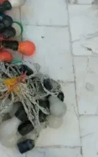 ریسه رنگی برق