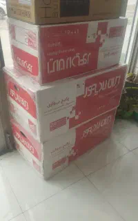 پکیج 24L
