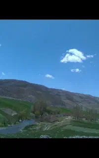 تورداخلی