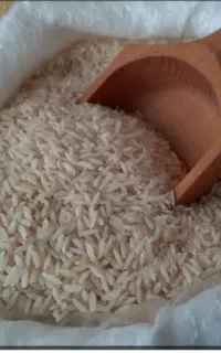 برنج هاشمی گیلان(شفت)