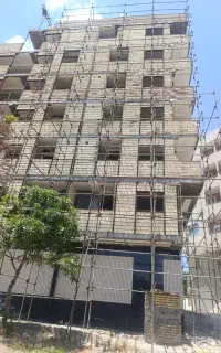 همکار داربست