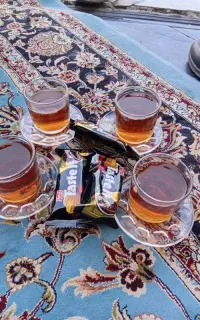 ثبت نام مشهد
