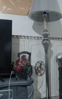 اباژور ایستاده و فرش نوی نو