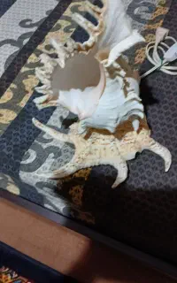 چراغ خواب نونو از خارج سوغات آوردن برام