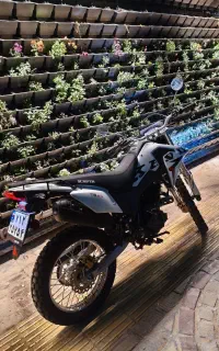 تریل 250 کویر t6