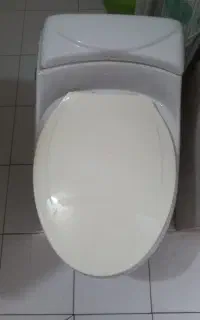 توالت فرنگی