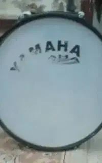 دو قول اصل یا ماها ارتشی در حد نو
