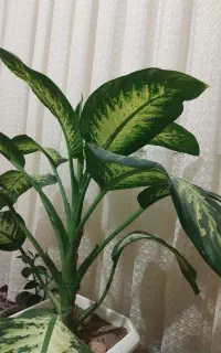 نقاشی ساختمان