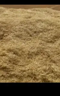 کاه تحویل درب منزل