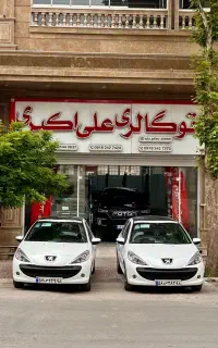 پژو ۲۰۷ پانا رینگ