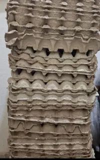 شانه تخم مرغ
