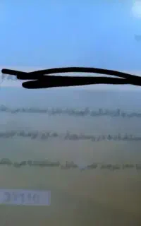کارت گهر پارک پیدا شده
