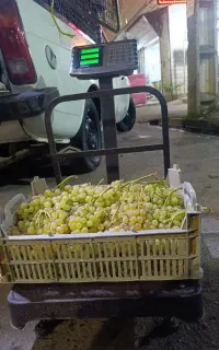 ترازو 300کیلو